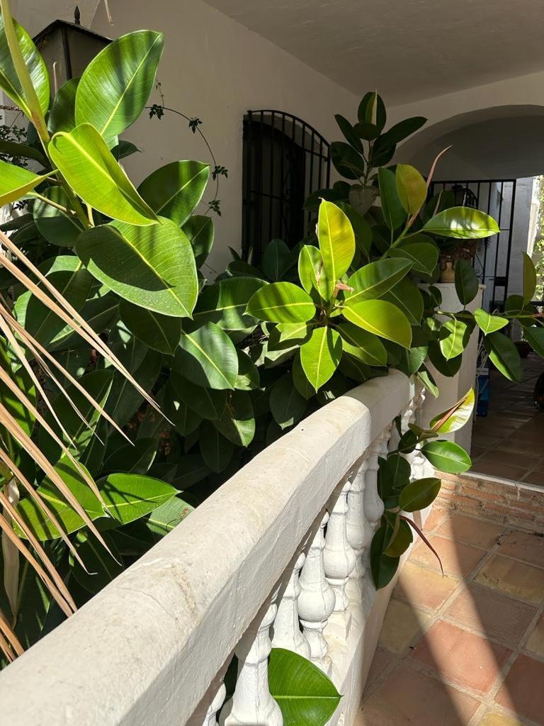 Ferienwohnung Monte Cielo Nerja Exterior foto
